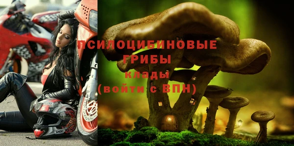 MDMA Premium VHQ Бугульма