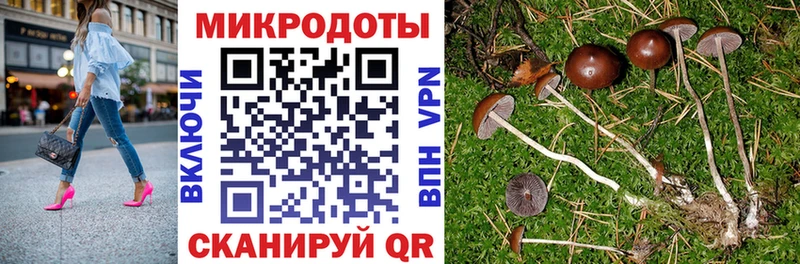 Галлюциногенные грибы мухоморы  Заволжье 